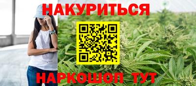 прущие грибы Тверь