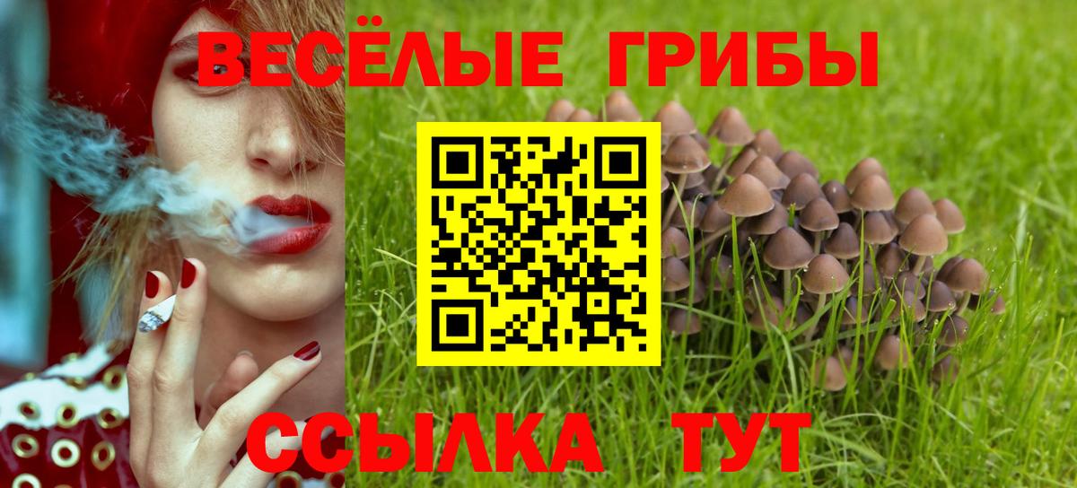 Галлюциногенные грибы Psilocybine cubensis  Вход с VPN  Псилоцибиновые грибы мухоморы  где можно купить   Мытищи 