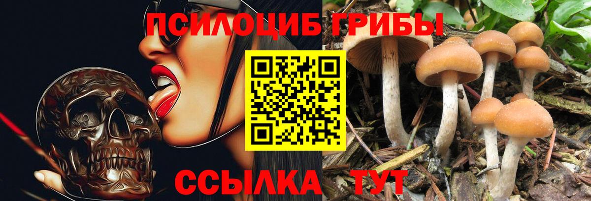 Канабис Мытищи
